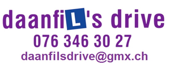 Zeljko&nbsp;Stojanovic - Fahrschule daanfils drive